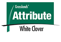 Attribute white clover logo